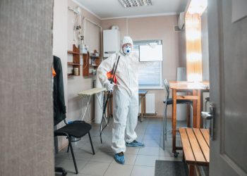 Mold Inspection and Testing – What You Need to Know
