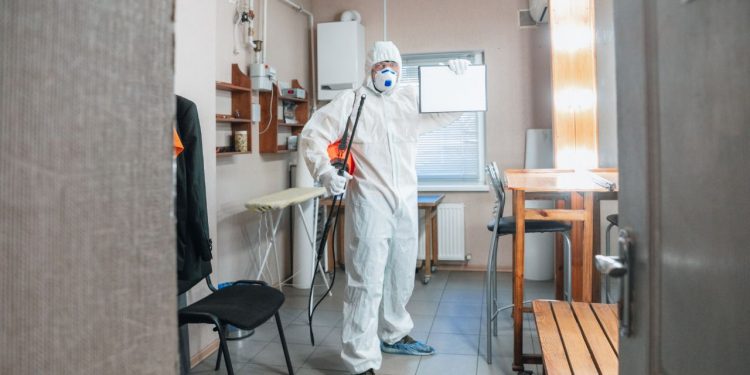 Mold Inspection and Testing – What You Need to Know