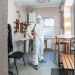 Mold Inspection and Testing – What You Need to Know