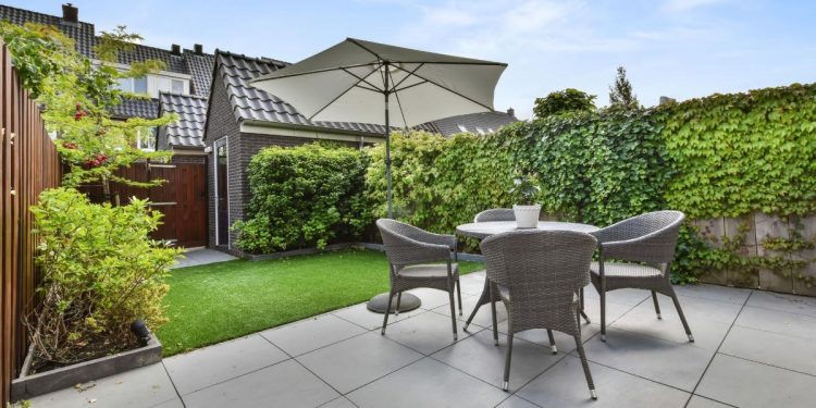 How to take the best care of your garden in January