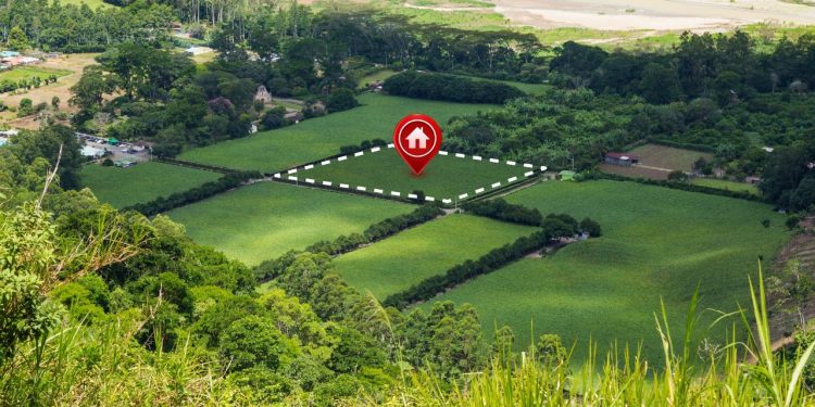 How To Use Your Undeveloped Land