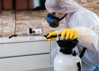 Why Do You Need Pest Control for Your Business?