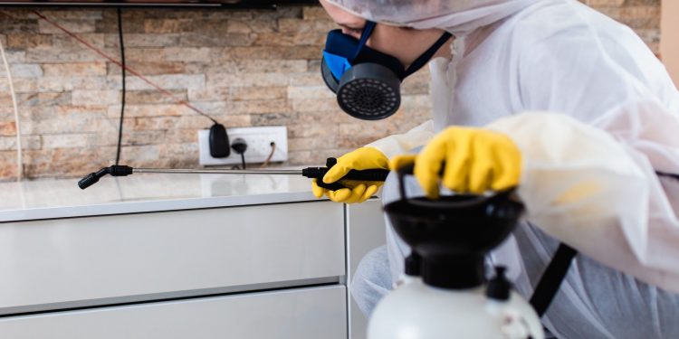 Why Do You Need Pest Control for Your Business?