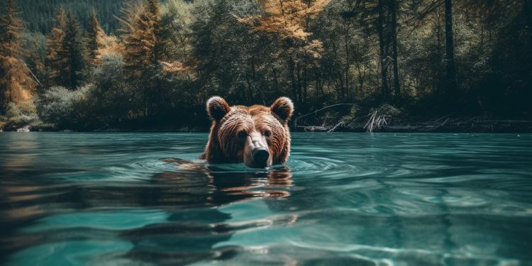 Popular Destinations to See Wildlife in Europe