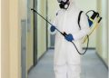 Battling Unwanted Guests: Effective Pest Control Strategies in San Jose