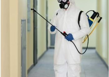 Battling Unwanted Guests: Effective Pest Control Strategies in San Jose