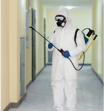 Battling Unwanted Guests: Effective Pest Control Strategies in San Jose