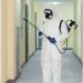 Battling Unwanted Guests: Effective Pest Control Strategies in San Jose