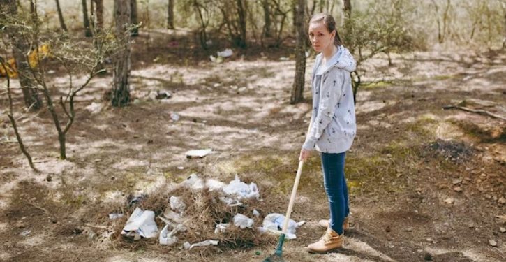 The Environmental Impact of Irresponsible Dog Waste Management