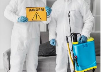 Pest Control from Years Gone Up to Modern Methods