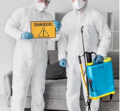 Pest Control from Years Gone Up to Modern Methods