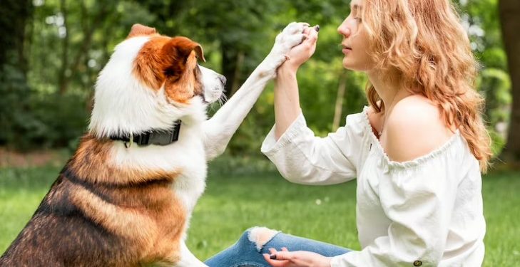 Irresistible Dog Treats: Discover the Goodness of Chicken Breast For Dogs