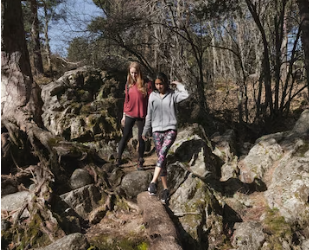 Stargazing Guide to Finding the Milky Way in Joshua Tree