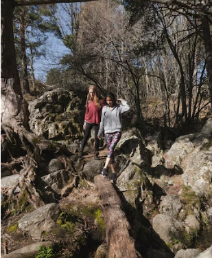 Stargazing Guide to Finding the Milky Way in Joshua Tree