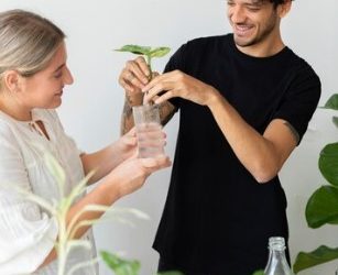 Green Maeng Da Kratom: Finding the Perfect Dosage for Pain Relief and Energy Boost