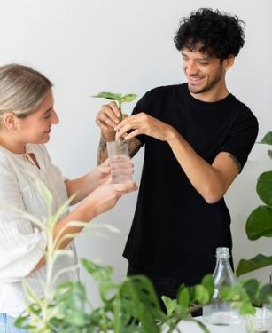 Green Maeng Da Kratom: Finding the Perfect Dosage for Pain Relief and Energy Boost