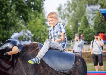 Bucking Bull Hire Perth: A Perfect Addition to Your Next Party