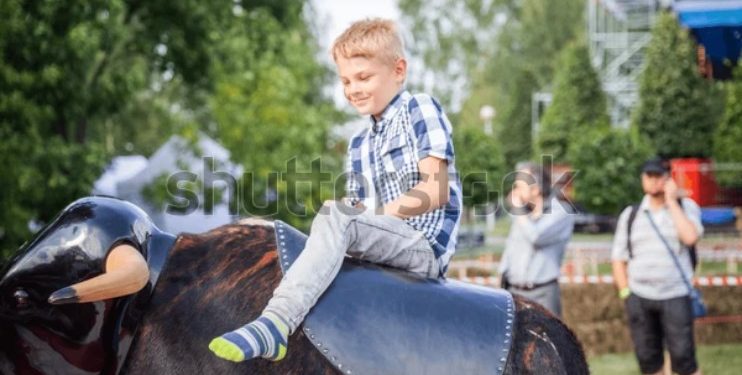 Bucking Bull Hire Perth: A Perfect Addition to Your Next Party