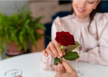 How To Charge My Rose Toy Without Charger