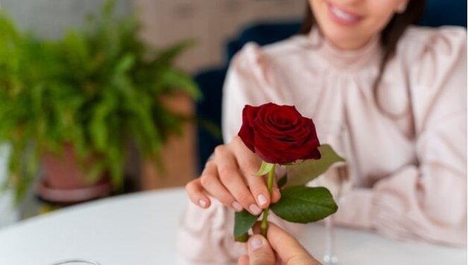 How To Charge My Rose Toy Without Charger