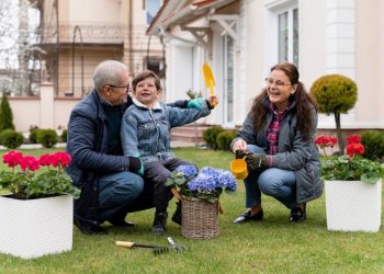 Backyard Landscape Design: Ten Important Things to Consider