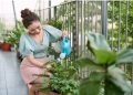 Green Gardening: How to Conserve Water with a Sustainable Garden Watering System