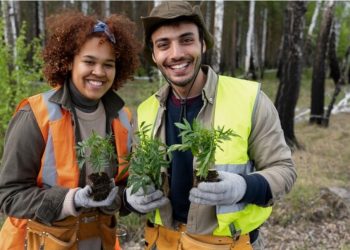 Santa Clara Tree Care Tips: How to Keep Your Trees Healthy and Happy