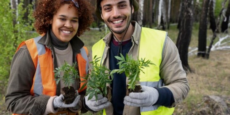 Santa Clara Tree Care Tips: How to Keep Your Trees Healthy and Happy