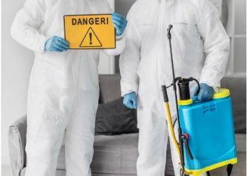 Mold Inspections in Pinellas Park, FL: A Crucial Step for Maintaining Healthy Indoor Environments”