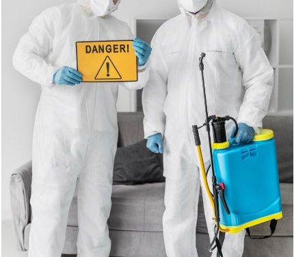 Mold Inspections in Pinellas Park, FL: A Crucial Step for Maintaining Healthy Indoor Environments”