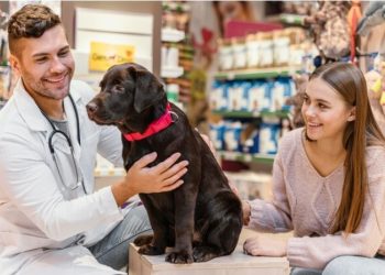 Show Your Appreciation with Gifts for Veterinarians