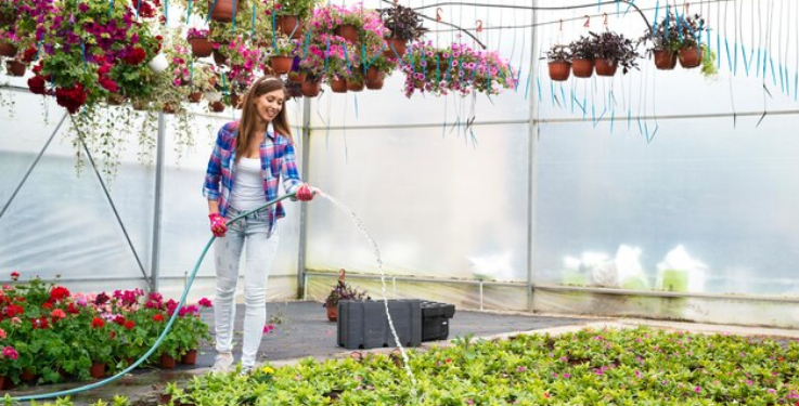 The Ultimate Guide: Step-by-Step Instructions for Using a pH Controller in Hydroponics