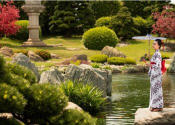 Welcome to Refined Landscapes: Where Your Garden Dreams Come to Life!