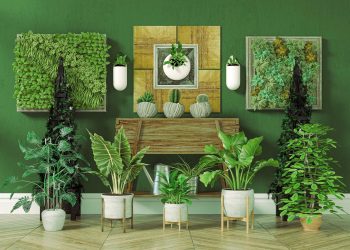 Artificial Plants for Pet-Friendly Homes: Safe and Stylish Choices