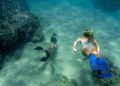 Discovering Koh Tao’s Underwater Paradise: A Journey into Scuba Diving Bliss