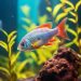 Top 5 Tetras for Beginners: A Guide to Choosing Your First Aquarium Fish