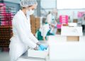 Ensuring Product Safety and Quality: The Importance of Plastic Testing