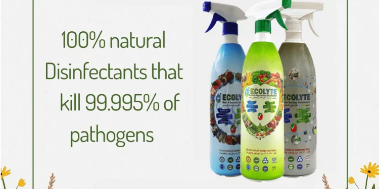 Guardians of Flavor: Ensuring Meat Safety with Cutting-Edge Disinfectants