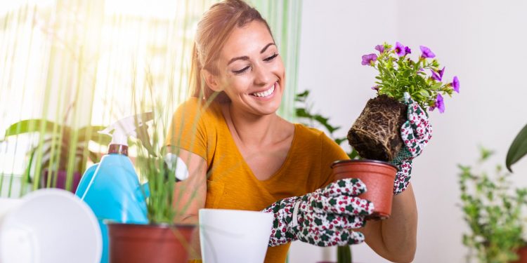 3 Mental Health Benefits of Gardening