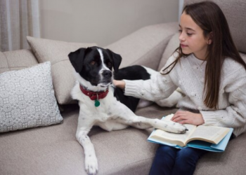 Most Important Behaviors for Dogs to Learn