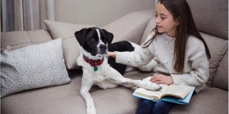 Most Important Behaviors for Dogs to Learn
