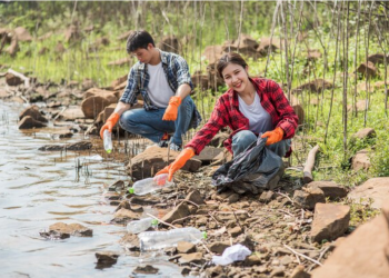 Timbеr Bog Mat Environmеntal and Sustainability Bеnеfits