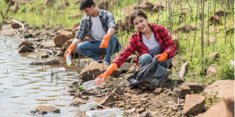 Timbеr Bog Mat Environmеntal and Sustainability Bеnеfits