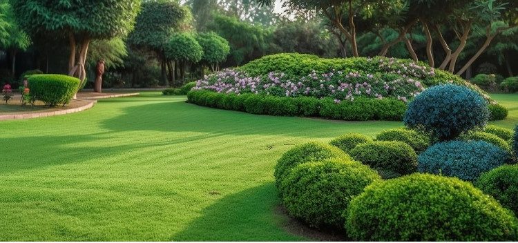 Awakening Madison’s Gardens: Spring into Landscaping Design