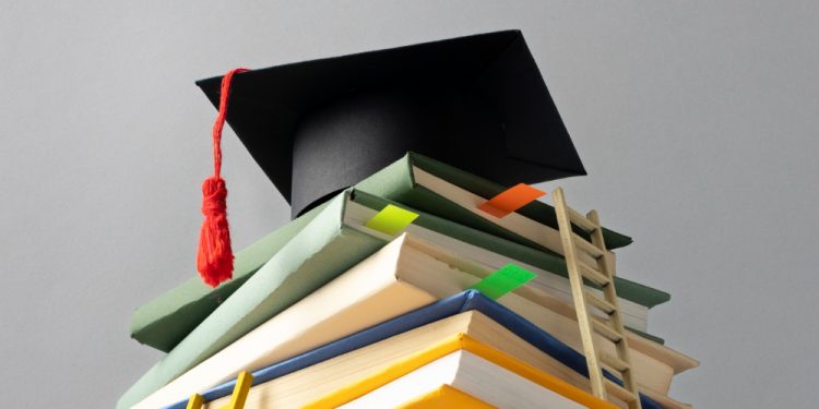 Comprehensive Academic Support for a Range of Subjects