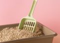 The Ultimate Guide to Eco-Friendly Cat Litter: Balancing Sustainability and Functionality