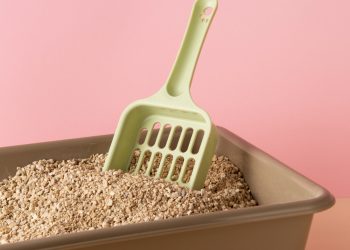 The Ultimate Guide to Eco-Friendly Cat Litter: Balancing Sustainability and Functionality