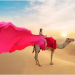 Embark on a Tale of Ethereal Beauty: The Journey with Flying Dress Dubai