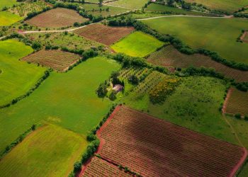 Understanding the Motivations: Why People Sell Their Vacant Land