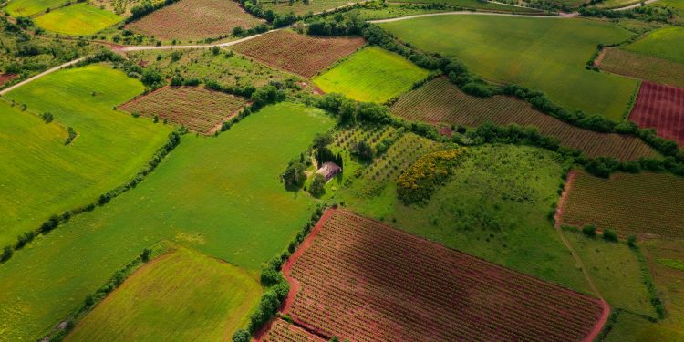 Understanding the Motivations: Why People Sell Their Vacant Land